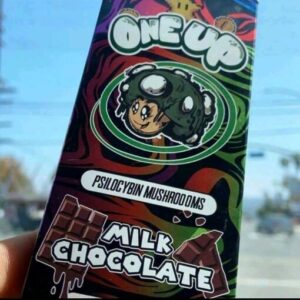 Buy Mushroom Milk Chocolate Michigan